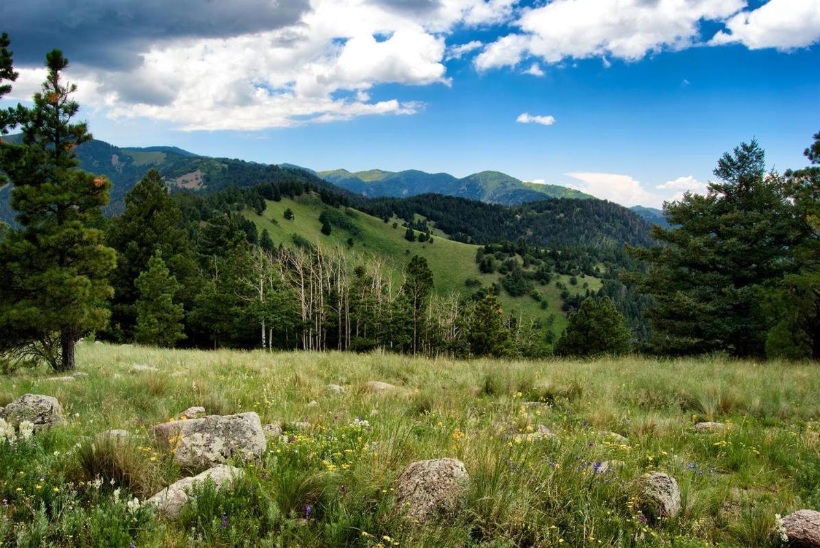Oso Blanco Villa Ruidoso Dış mekan fotoğraf